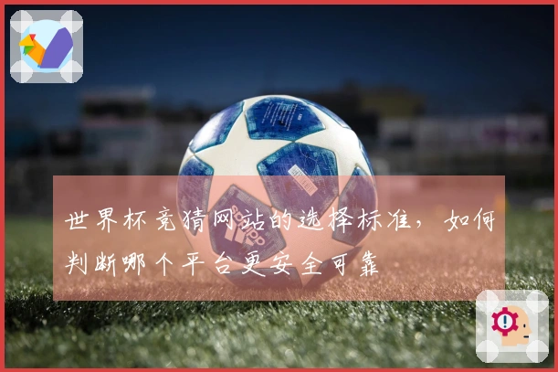 世界杯竞猜网站的选择标准，如何判断哪个平台更安全可靠
