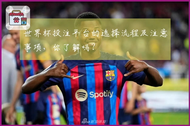 世界杯投注平台的选择流程及注意事项，你了解吗？