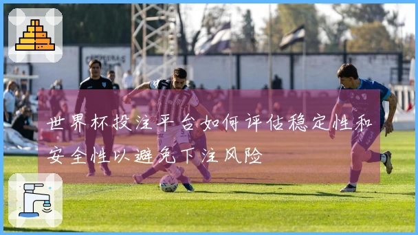 世界杯投注平台如何评估稳定性和安全性以避免下注风险