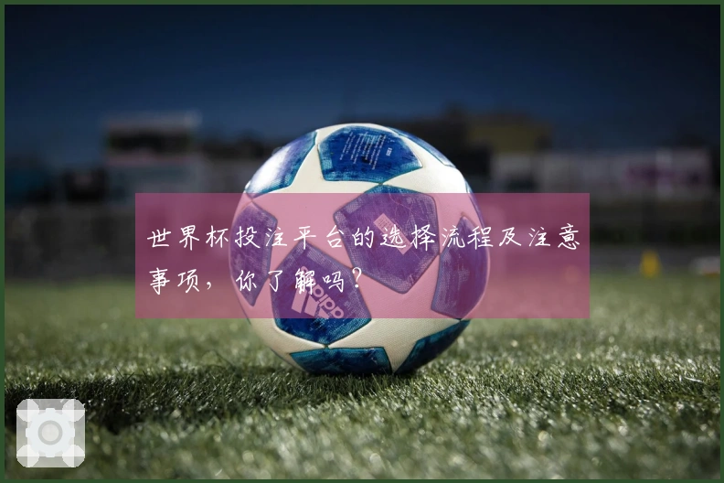 世界杯投注平台的选择流程及注意事项，你了解吗？