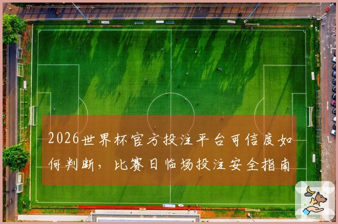 2026世界杯官方投注平台可信度如何判断，比赛日临场投注安全指南